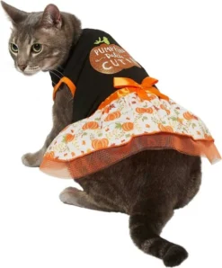 Frisco Pumpkin Patch Cutie Dog & Cat Dress 10 Frisco Pumpkin Patch Cutie Dog & Cat Dress -FRISCO Sales 215783 PT2. SY630 V1632417114