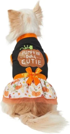 Frisco Pumpkin Patch Cutie Dog & Cat Dress 11 Frisco Pumpkin Patch Cutie Dog & Cat Dress -FRISCO Sales 215783 PT3. SY630 V1632428193