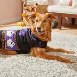 Frisco Spooky Ghost Dog & Cat Sweater 13 Frisco Spooky Ghost Dog & Cat Sweater -FRISCO Sales 215797 PT8. SY630 V1599226290