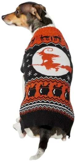 Frisco Feeling Witchy Dog & Cat Sweater