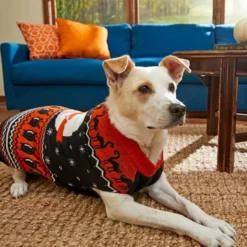 Frisco Feeling Witchy Dog & Cat Sweater -FRISCO Sales 215813 PT8. SY630 V1599225467