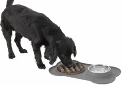 Frisco Silicone Slow Feeder Mat with Stainless Steel Bowl, 1.75 Cups -FRISCO Sales 215983 PT5. SY630 V1605666752