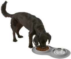 Frisco Double Stainless Steel Dog & Cat Bowl with Silicone Mat, Light Gray, 1.75 Cups -FRISCO Sales 215986 PT5. SY630 V1605652436