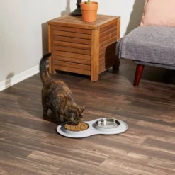 Frisco Double Stainless Steel Dog & Cat Bowl with Silicone Mat, Light Gray, 1.75 Cups -FRISCO Sales 215986 PT6. SY630 V1605657710