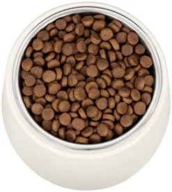 Frisco Slanted Stainless Steel Bowl 13 Frisco Slanted Stainless Steel Bowl -FRISCO Sales 216028 PT4. SY630 V1591020437