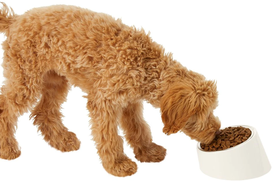 Frisco Slanted Stainless Steel Bowl 8 Frisco Slanted Stainless Steel Bowl - Image 6