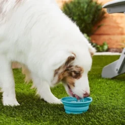 Frisco Silicone Collapsible Travel Bowl Set, 3 count, 1.5 Cups -FRISCO Sales 216033 PT7. SY630 V1605661035