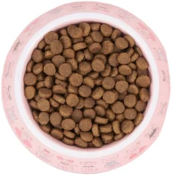 Frisco Pink Cute Cats Melamine Cat Bowl, 1.5 Cup 12 Frisco Pink Cute Cats Melamine Cat Bowl, 1.5 Cup -FRISCO Sales 216043 PT4. SY630 V1591020694