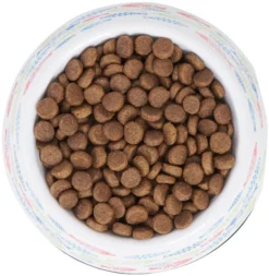 Frisco Colorful Fish Melamine Cat Bowl, 1.5 Cups -FRISCO Sales 216047 PT4. SY630 V1591020721