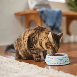 Frisco Colorful Fish Melamine Cat Bowl, 1.5 Cups -FRISCO Sales 216047 PT7. SY630 V1633025238