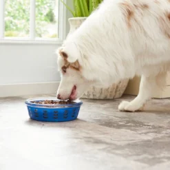 Frisco Chevron Design Glass Bowl with Silicone Sleeve, 4.25 Cups -FRISCO Sales 216049 PT7. SY630 V1605664319