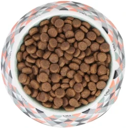 Frisco Colorful Geometric Melamine Bowl 13 Frisco Colorful Geometric Melamine Bowl -FRISCO Sales 216052 PT4. SY630 V1591020745