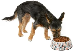 Frisco Colorful Geometric Melamine Bowl 14 Frisco Colorful Geometric Melamine Bowl -FRISCO Sales 216052 PT6. SY630 V1605657120