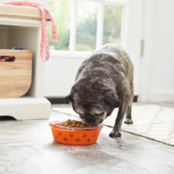 Frisco Paw Design Glass Bowl with Silicone Sleeve, 3 Cups -FRISCO Sales 216055 PT7. SY630 V1605660423