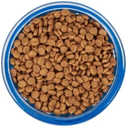 Frisco Cat Design Glass Bowl with Silicone Sleeve, 1.5 Cups -FRISCO Sales 216057 PT4. SY630 V1591020958