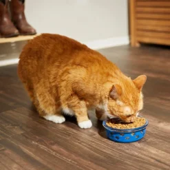 Frisco Cat Design Glass Bowl with Silicone Sleeve, 1.5 Cups -FRISCO Sales 216057 PT7. SY630 V1605655021