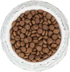 Frisco Chevron Brushed Melamine Bowl -FRISCO Sales 216059 PT4. SY630 V1591020962