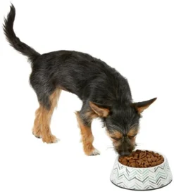 Frisco Chevron Brushed Melamine Bowl -FRISCO Sales 216059 PT6. SY630 V1605665808