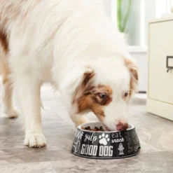 Frisco Doggie Melamine Bowl, 3 Cup 15 Frisco Doggie Melamine Bowl, 3 Cup -FRISCO Sales 216062 PT7. SY630 V1605658314