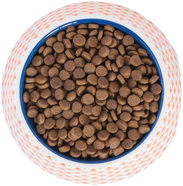 Frisco Southwest Melamine Bowl, 3 Cup 7 Frisco Southwest Melamine Bowl, 3 Cup - Image 5