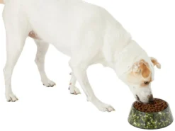 Frisco Camo Paint Splashed Melamine Bowl, 3 Cup -FRISCO Sales 216066 PT6. SY630 V1605666935