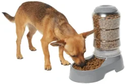 Frisco Circular Gravity Refill Dog & Cat Feeder -FRISCO Sales 216701 PT3. SY630 V1603926791