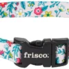 Frisco Spring Floral Polyester Dog Collar -FRISCO Sales 218214 MAIN. SY630 V1590604315