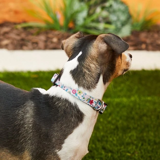 Frisco Spring Floral Polyester Dog Collar 6 Frisco Spring Floral Polyester Dog Collar - Image 4