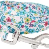 Frisco Spring Floral Polyester Dog Leash -FRISCO Sales 218219 MAIN. SY630 V1590604346