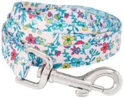 Frisco Spring Floral Polyester Dog Leash