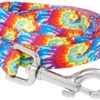 Frisco Tie Dye Swirl Polyester Dog Leash -FRISCO Sales 218246 MAIN. SY630 V1590604895