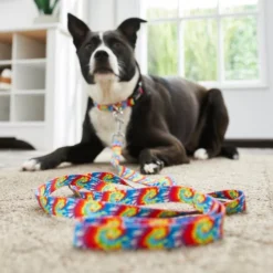 Frisco Tie Dye Swirl Polyester Dog Leash -FRISCO Sales 218246 PT4. SY630 V1597599972
