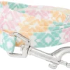 Frisco Pastel Tie Dye Polyester Dog Leash -FRISCO Sales 218254 MAIN. SY630 V1590604933