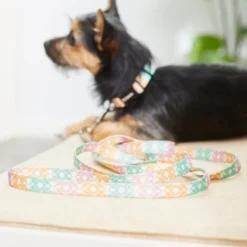 Frisco Pastel Tie Dye Polyester Dog Leash -FRISCO Sales 218254 PT4. SY630 V1597599974