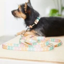 Frisco Pastel Tie Dye Polyester Dog Leash -FRISCO Sales 218254 PT5. SY630 V1628030010