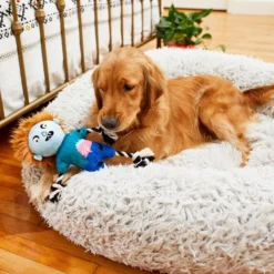 Frisco Zombie Boy Plush with Rope Squeaky Dog Toy -FRISCO Sales 218569 PT6. SY630 V1597599376