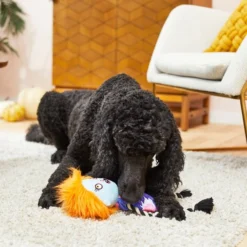 Frisco Zombie Girl Plush with Rope Squeaky Dog Toy -FRISCO Sales 218571 PT6. SY630 V1597599373