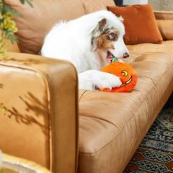 Frisco Halloween Pumpkin Round Plush Squeaky Dog Toy -FRISCO Sales 218583 PT6. SY630 V1597599386