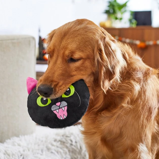 Frisco Black Cat Round Plush Squeaky Dog Toy 5 Frisco Black Cat Round Plush Squeaky Dog Toy - Image 3