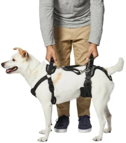Frisco Front & Rear Lift Handicapped Support Dog Harness -FRISCO Sales 220369 PT5. SY630 V1605751028
