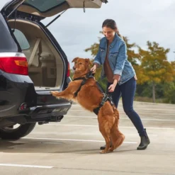 Frisco Front & Rear Lift Handicapped Support Dog Harness -FRISCO Sales 220369 PT7. SY630 V1605754629