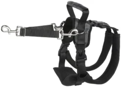 Frisco Rear Lift Handicapped Support Dog Harness