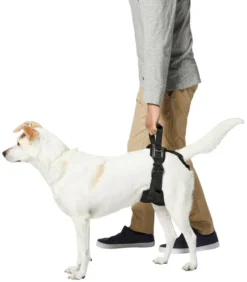 Frisco Rear Lift Handicapped Support Dog Harness 11 Frisco Rear Lift Handicapped Support Dog Harness -FRISCO Sales 220374 PT5. SY630 V1605743213