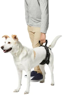 Frisco Rear Lift Handicapped Support Dog Harness 12 Frisco Rear Lift Handicapped Support Dog Harness -FRISCO Sales 220374 PT6. SY630 V1605755228