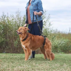 Frisco Rear Lift Handicapped Support Dog Harness 13 Frisco Rear Lift Handicapped Support Dog Harness -FRISCO Sales 220374 PT7. SY630 V1605754619