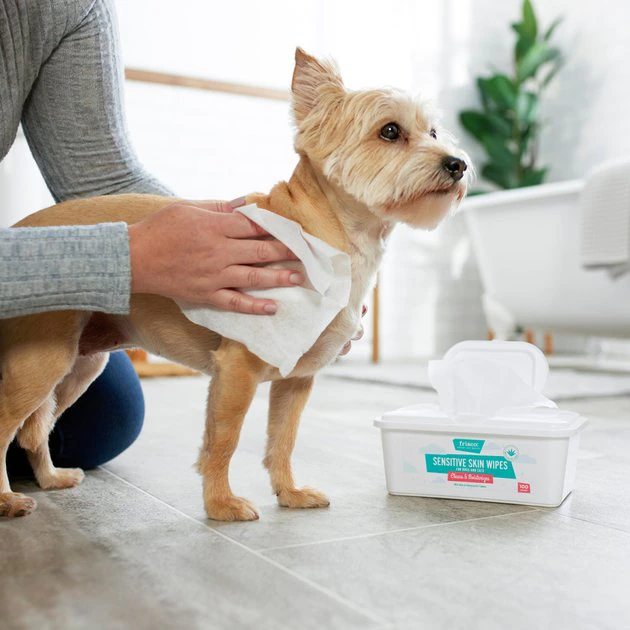 Frisco Sensitive Skin Waterless Grooming Wipes with Aloe and Honeysuckle for Dogs & Cats, 100 count 4 Frisco Sensitive Skin Waterless Grooming Wipes with Aloe and Honeysuckle for Dogs & Cats, 100 count - Image 2