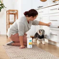 Frisco Vinegar Cleaning Wipes, 70 count -FRISCO Sales 222151 PT4. SY630 V1602847932