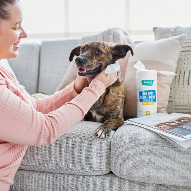 Frisco Hot Spot Relief Waterless Grooming Wipes with Colloidal Oatmeal for Dogs & Cats, 100 count 4 Frisco Hot Spot Relief Waterless Grooming Wipes with Colloidal Oatmeal for Dogs & Cats, 100 count - Image 2