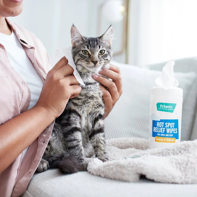 Frisco Hot Spot Relief Waterless Grooming Wipes with Colloidal Oatmeal for Dogs & Cats, 100 count 5 Frisco Hot Spot Relief Waterless Grooming Wipes with Colloidal Oatmeal for Dogs & Cats, 100 count - Image 3