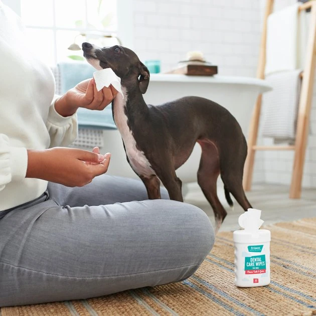 Frisco Dog Dental Care Wipes, 30 count 4 Frisco Dog Dental Care Wipes, 30 count - Image 2